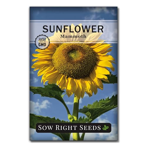 Sow Right Seeds - Mammoth Sunflower Seeds to Plant -...