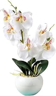 Árbol Bonsái Artificial Planta en Maceta Falsa Sin riego Mariposa Orquídea Decoración de Mesa Plantas de Seda sintética Maceta Ornamento Flores Falsas Plantas de árboles Artificiales (Color : F)