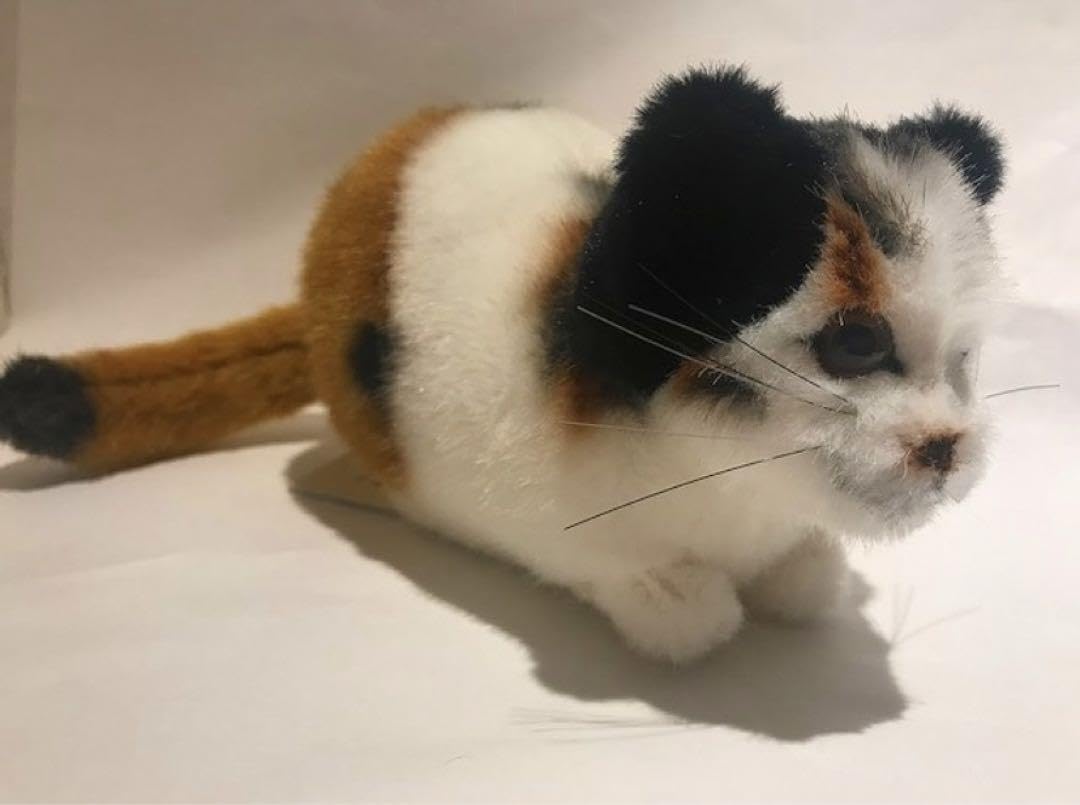 Amazon.co.jp: ケーセン kosen ネコ ねこ 猫 三毛猫 にゃんこ
