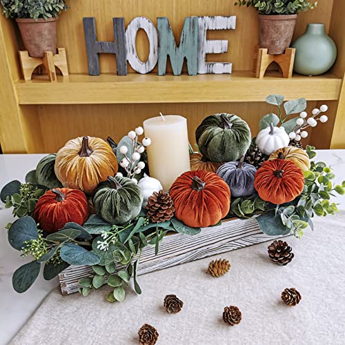 Winlyn16pcsassortedsmallfauxrusticharvestvelvetpumpkinsdecorativerustorangegoldolivegrayfabricpumpkinsfoampumpkinsfarmhousefallthanksgivinghalloweentablecenterpiecedecor Urban Country Home Decor Winlyn 16 pcs assorted small faux rustic harvest velvet pumpkins decorative rust orange gold olive gray fabric pumpkins foam pumpkins farmhouse fall thanksgiving halloween table centerpiece decor urban country home decor
