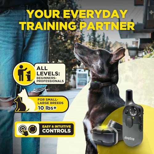 Image of Dogtra 200iQ 2-Dog Remote Training E Collar - 100 Levels, Tone, Vibration, 1 /2 Mile Range - Compact, Waterproof, One-Handed Control for Dogs 10 lbs+ - Lightweight System for Daily Obedience Training