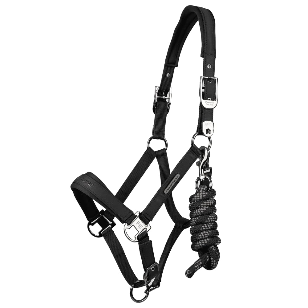 PremierEquine Duco Padded Head Collar with Lead Rope - Black Cob