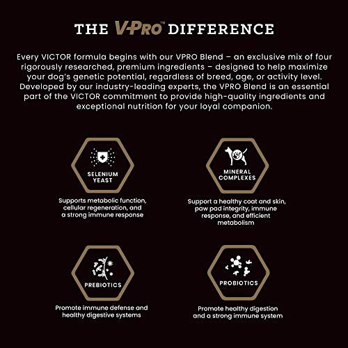 Victor Super Premium Dog Food – Hi-Pro Plus Dry Dog Food – 30% Protein, Gluten Free - for High Energy and Active Dogs… - Image 5