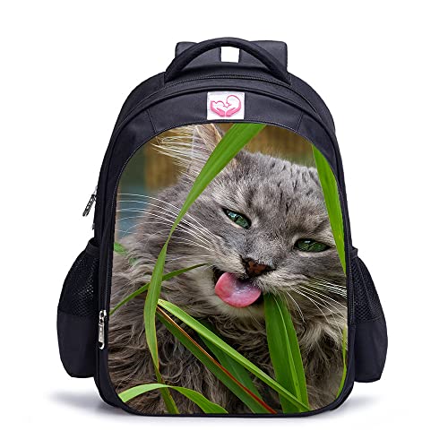 Sac à dos scolaire chat 41 cm : fini le manque de place pour l'école