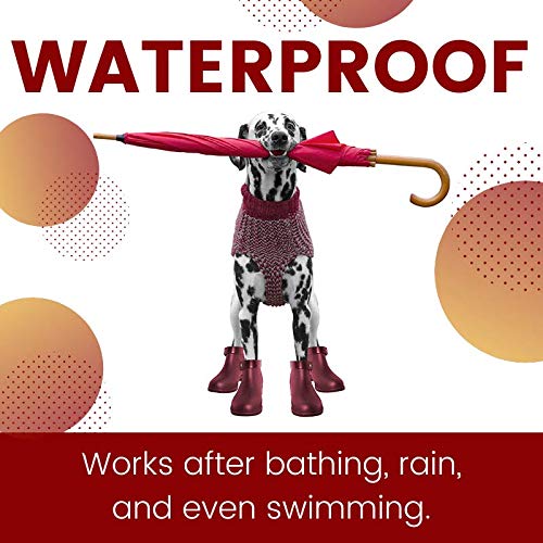 Zoguard Plus Flea And Tick Prevention For Dogs (Large - 45-88 Lb) #TOP3