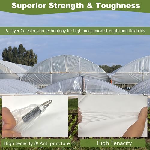 Chicarry 6MIL-12FTX25FT Greenhouse Plastic Sheeting thumb #1