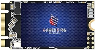 GAMERKING M.2 2242 SSD 256 GB 3D NAND TLC SATA III 6 Gb/s, unidade de estado sólido interna - compatível com computador de mesa, laptop (2242 256 GB)