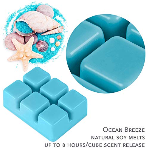 Inyournature Scented Soy Wax Melts - (5-Pack) 15 Ounces Wax Cubes For Electric Warmer Infused With Essential Oils - Lavender, Rose, Vanilla, Sandalwood And Ocean Breeze | All Natural Paraffin-Free #TOP4