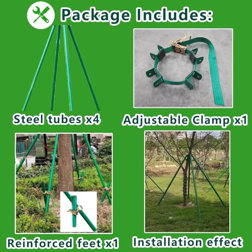 Kit Raddrizzatura Alberi – 3 Pali In Acciaio 30,5 Cm + 3 Cinghie + Corda 10 M – Per Giovani Alberi E Piante