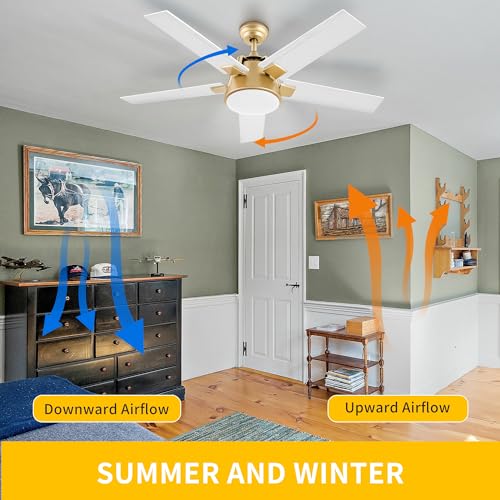 DWVO Ceiling Fan with Light and Wall Switch Remote, Quiet Reversible Motor, Dimmable LED Color, Memory Function for Bedroom Living Room Patio Indoor Outdoor, 52 Inch Modern Gold & White Fan