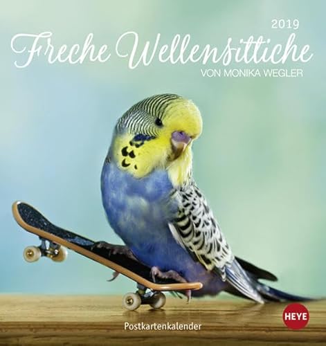Freche Wellensittiche 2019. Postkartenkalender