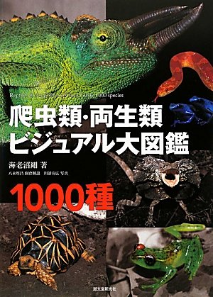 爬虫類 両生類ビジュアル大図鑑 海老沼 剛 本 通販 Amazon 爬虫類 両生類ビジュアル大図鑑 海老沼 剛 本 通販 Amazon