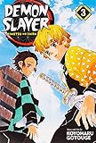 Demon Slayer: Kimetsu no Yaiba, Vol. 3 (3)
