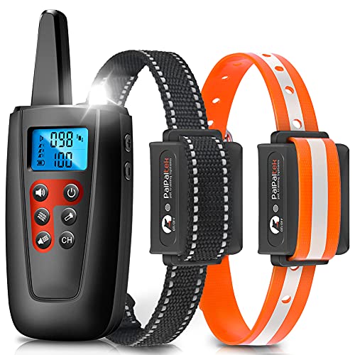 Best Paipaitek Dog Training Collar