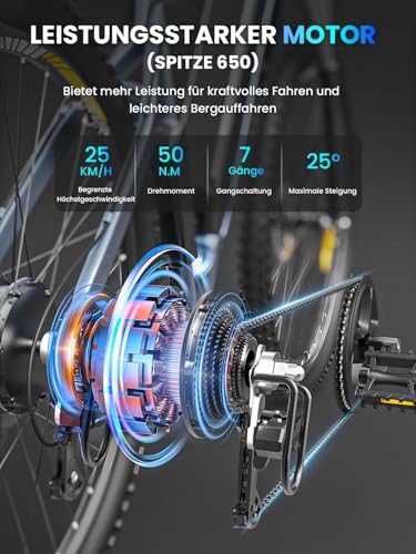 E-Bike Eleglide Mopride3 29 Zoll für Herren und Damen mit 48V Akku