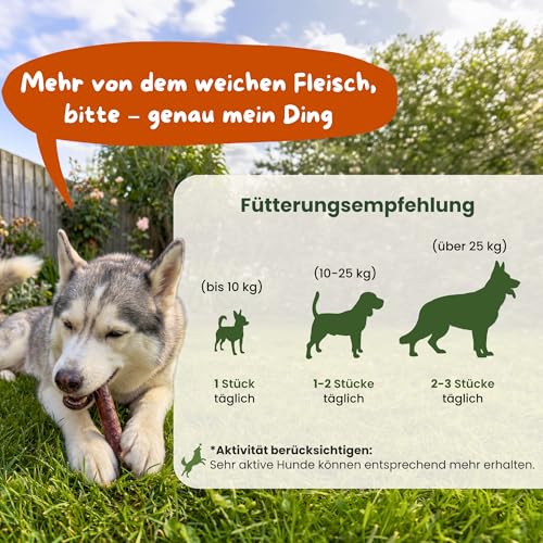 Naturbiss Hundezigarren aus REH - 20 Stück (12 cm) - Hypoallergen & Getreidefrei Zigarre - Monoprotein, 98% Muskelfleisch Rollen - luftgetrocknetes Rehfleisch Hundesnack