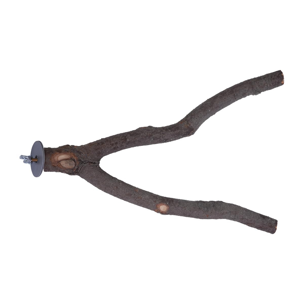 ZONADAH Parrot Perch Natural Y Shape Perch 25cm Bird Swing Birds Stand Grinding Paw Climbing Wood Cage Accessories for Parakeet Cockatiels Budgies Conure Lovebirds Thickness 2-3.5cm