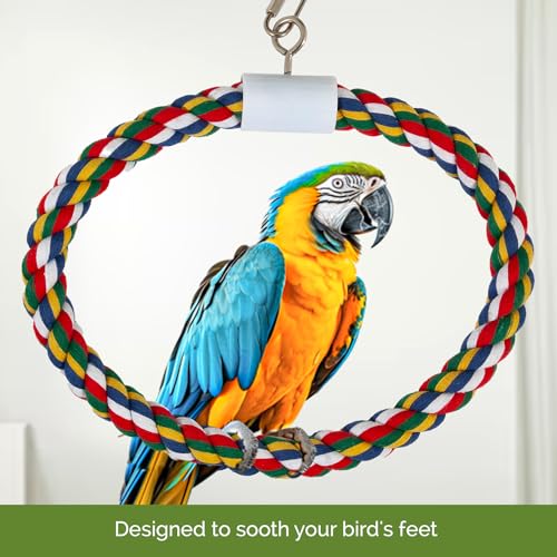 Image of JW Pet Swing N' Perch, Large