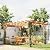 Outsunny 10' x 13' Outdoor Pergola, Wood Gazebo Grape Trellis with Stable Structure and Concrete Anchors for Climbing Plant Support, Garden, Patio, Backyard, Deck, Dark Brown