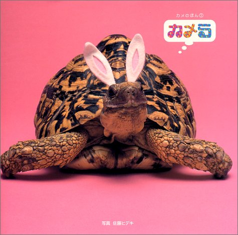 カメら カメの本 1 カメのほん 1 ヒデキ 佐藤 本 通販 Amazon