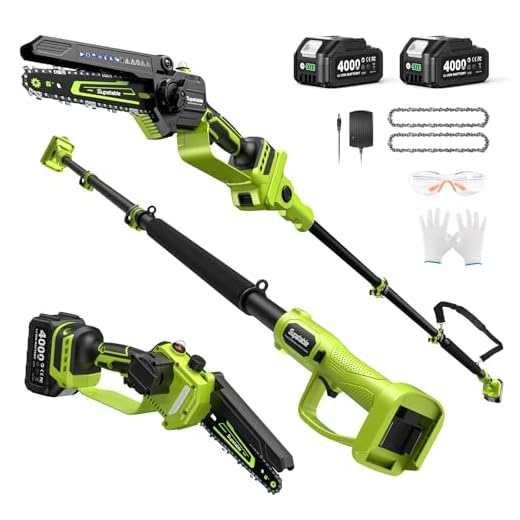 Electric Pole Saw, 6-Inch Cordless Mini Chainsaw with Extension Pole, Extendable to 16 ft, 2x4.0Ah Batteries, Tool-Free Chain Tensiong, Electric Pole Chainsaw for Tree Trimming & Thick Branch Cutting