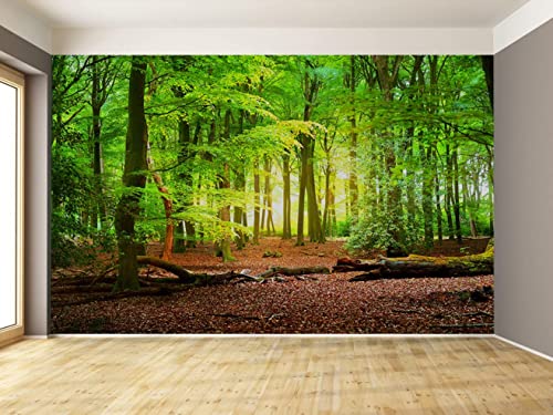 Reyhui Forest Wall Murals Landscape Tree Wallpaper Mural Wall Decor For Bedroom, Living Room, Kids Room #TOP5