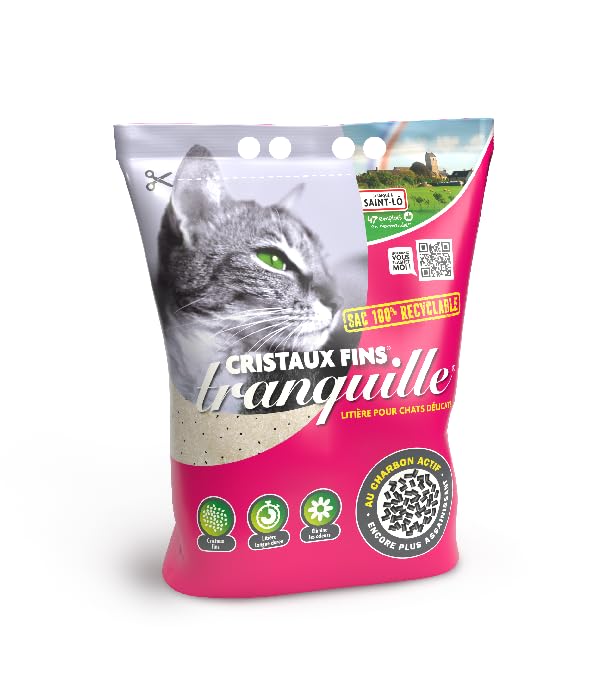 Litière pour chat anti-odeur en silice et charbon actif pour bac propre
