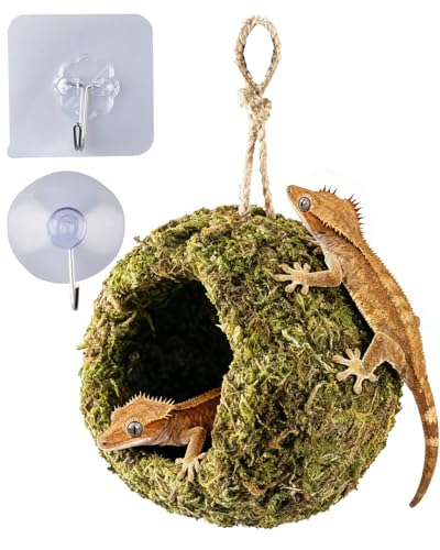Handmade Crested Gecko Tank Accessories Bearded Dragon Accessories Reptile Hideout Hermit Crab and Small Reptile Habitat 4.73.59in