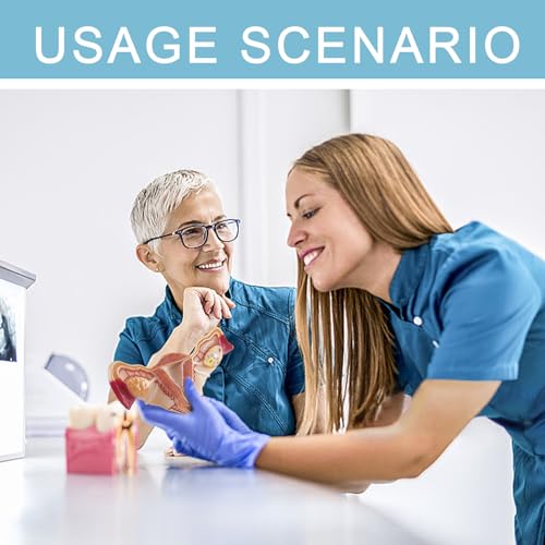 Image of Human Uterus and Ovary Anatomical Model, Life-Size Realistic Female Anatomical Organs for Medical Science Education Study or Teaching