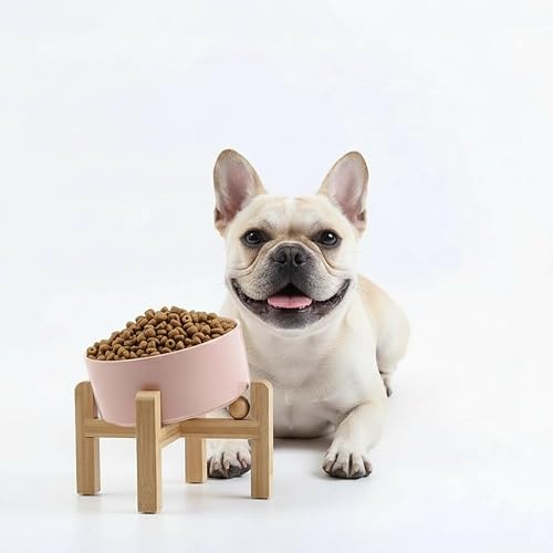 Miniatura 17 de Petygooing Tazón elevado/relevado de cerámica para perros de 15° inclinado para razas pequeñas y medianas, tazón antideslizante inclinado para Negro