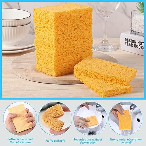 Compostable Kitchen Sponges, 12 Pack Sponges Washing Up Natural Kitchen Cleaning Sponge, Dish Sponge for Washing Dishes, Kitchen and Bathroom