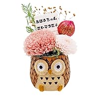 フラワーとフクロウデザインのカフリンクス フラワーとフクロウデザインのカフリンクス