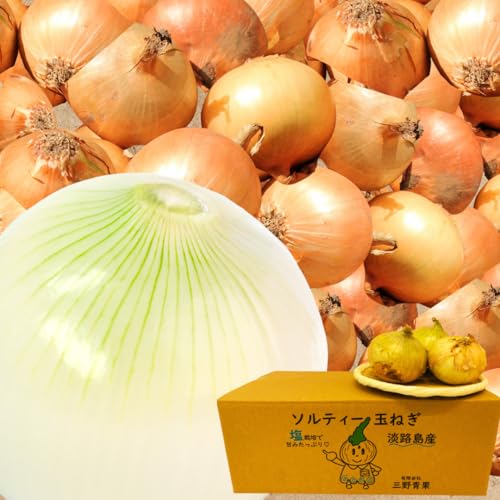 ʂ˂ WH O삳́yʂ˂zwGix 5L L@엿gp ʍ͔|ȏ ʂ˂ ܂˂ ^}lM WH ʃlM ʔK