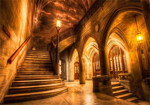 AOFOTO 10x7ft Vintage Medieval Castle Interior Backdrop Retro Archway Columns Photography Background Old Stairway Dim Light Architecture Pillars Photo Studio Props Wedding Artistic Portrait Vinyl