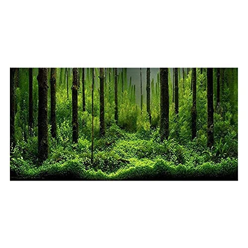 Image of PVC Adhesive Underwater Forest Tank Background Poster Fish Tank Decorations Background Pictures Aquarium PVC Adhesive Poster for Fish Tank