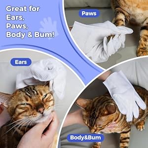   Pet-Bathing-Wipes-for-Dogs-Cats-Cleaning-Deodorizing-Grooming-Gloves-Nourish-Fur-Glove-Wipes-for-Daily-Care-and-Traveling-Rinse-Free7-PCS-Bluebell-Gloves