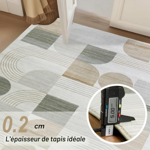 Tapis de salon abstrait moderne beige 80x150cm lavable