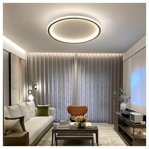 Mikeru 60cm LED Rund Deckenleuchte Dimmbare, Zeitgenössische Deckenleuchten 3000K/4500K/6500K 3 Farben Deckenlampe Kreise Küchen Deckenleuchte mit Fernbedienung 10% bis 100% für Garage, Wohnzimmer