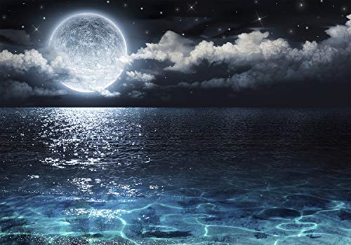 decomonkey carta da parati Luna Piena 300x210 cm fotomurali non tessuto murale XXL Poster moderna decorazione Carta per pareti Paesaggio Panorama Notte Mare Lago Cielo Nuvole nero blu bianco