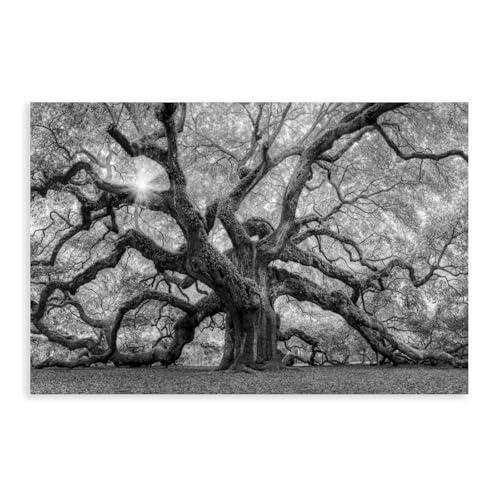 Poster sur toile Archangel Oak de Charleston décor naturel 50x75 cm