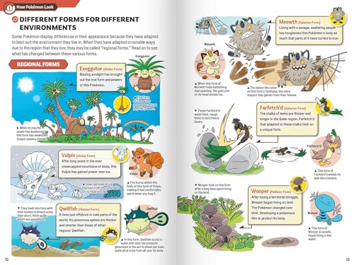 Image of Pokecology An Illustrated Guide to Pokemon Ecology (Pokemon Pikachu Press)