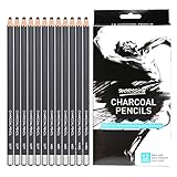 12pcs Charcoal Drawing Pencils Set Sketch Pencils Soft Medium Hard Ideal for Drawing Art, Sketching, Shading, Artist Pencils for Beginners & Pro Artists