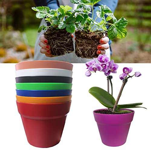 Übertopf mit Loch Die 15 besten Produkte im Vergleich