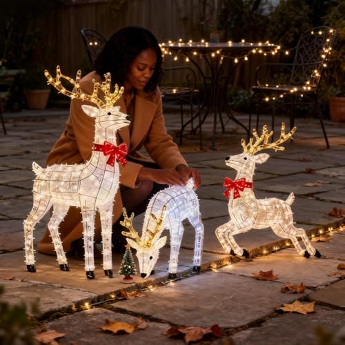 Nudorpn Beleuchtete Weihnachtsrentier LED Dekoration, 3 Stück...