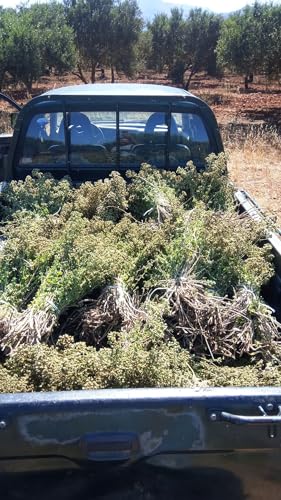 CRETAN F8ARMERS Oregano 450g from our farm dried rubbed oregano non GMO.