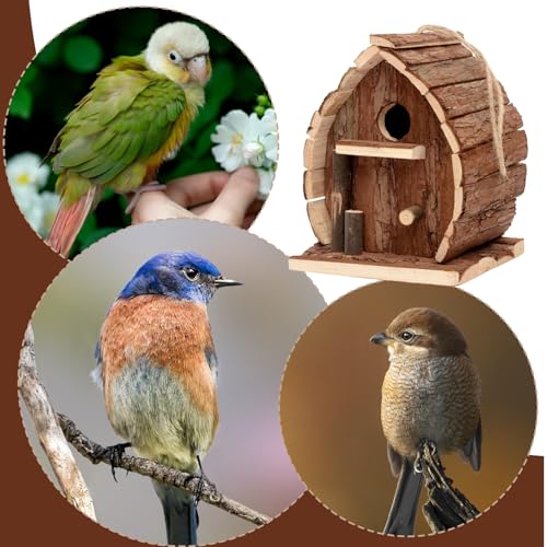 Nid d'oiseau en bois rustique avec abri et mangeoire pour jardin - 5