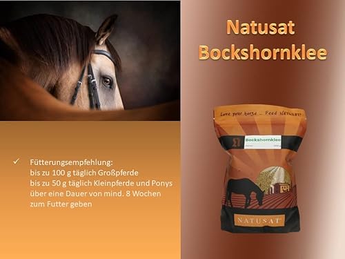 Foto von NATUSAT Bockshornkleesamen - pflanzlicher Lebertran mit natürlichem Vitamin D, Ergänzungsfutter für Pferde (3 kg)