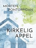  Kirkelig Appel: Et ord til mine landsmænd og medkristne (Danish Edition)