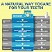 VEX Remineralizing Gum with Nano Hydroxyapatite Supports Fresh Breath and Oral Health, Xylitol Handmade Chewing Gum for Enamel Protection Sugar Free Aspartame Free Gluten Free (90, Mastic Mint)