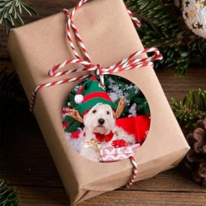 Personalizedceramichangingornamentcustomceramicdoublesidedprintingchristmastreeornamentxmasdecorgiftsforfamilyloverfriendsanniversaryroundshaped Urban Country Home Decor Personalized ceramic hanging ornament custom ceramic double sided printing christmas tree ornament xmas decor gifts for family lover friends anniversary round shaped urban country home decor